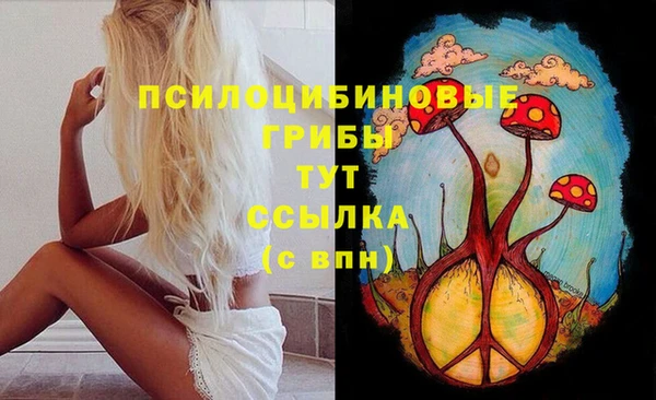 спайс Алексеевка