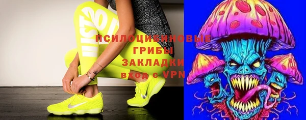 метадон Алексин