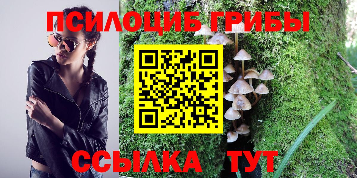Псилоцибиновые грибы Psilocybe  Вход с VPN  Псилоцибиновые грибы прущие грибы  Анжеро-Судженск 