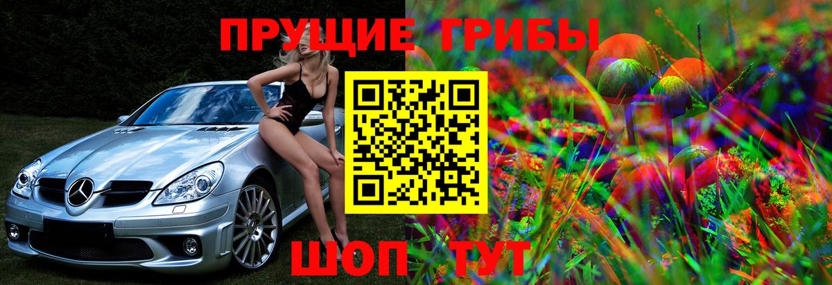 Галлюциногенные грибы мицелий Анжеро-Судженск